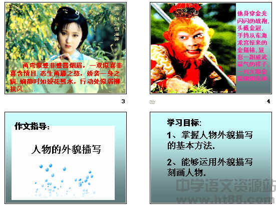 100个字符的字符描述片段