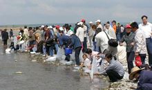 最大的爱，原是原谅和放生