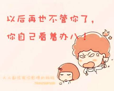 作家组成：刀口豆腐心