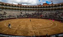 越是难熬的日子，越要让自己有事可做