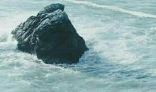 经典语录：有一种安眠药，叫你的晚安