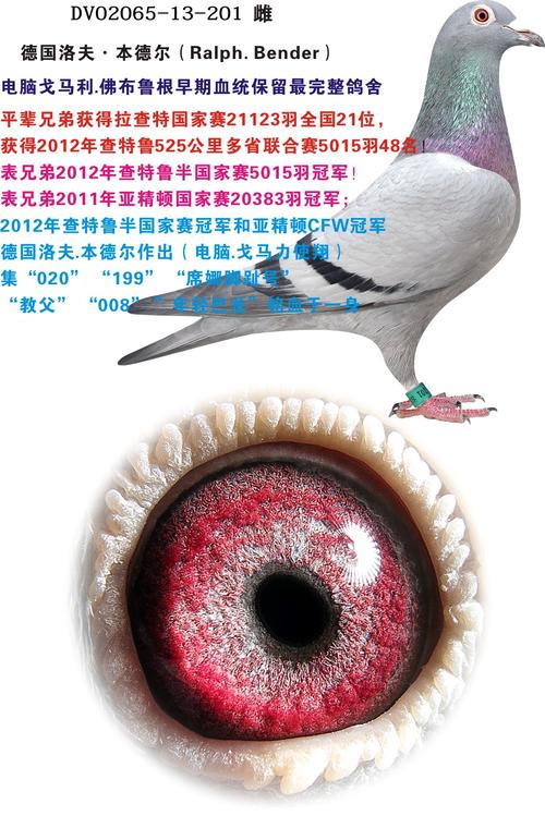 爱：超越灰烬