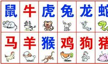 关于十二生肖的成语