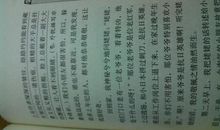 人物描写片段300字