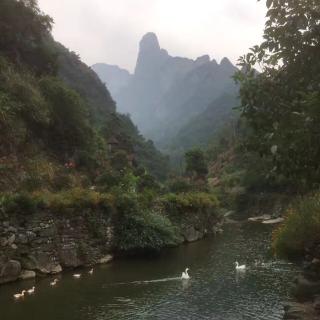 林庆轩：甜鱼之乡