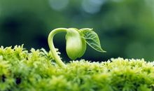 有关于生命的名人名言