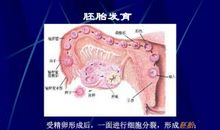 新生命的诞生的句子