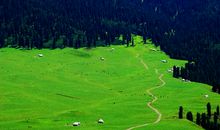 描写新疆景色的句子