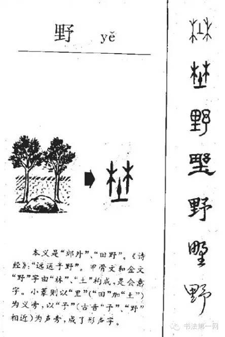 不同的报价