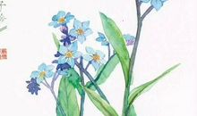 诗经中的经典句子