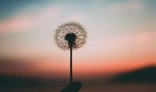 心态是人生的指南针