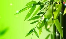 描写植物的好段