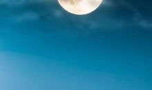 关于黑夜的优美句子