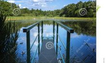 神秘的池塘比喻句