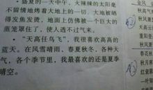 描写智慧的好词好句