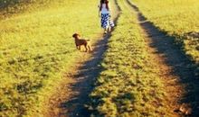 你没穿过别人的鞋，就不要评价别人走过的路