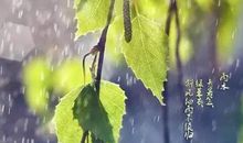 关于雨的诗词