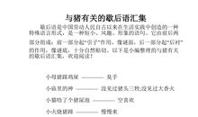 有关秀才的歇后语