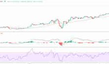 用势如破竹造句