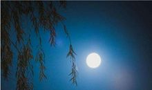 晁端礼：绿头鸭