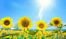 活着，每天提醒自己十件事