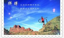 你认为你够努力吗？