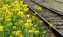 经典语段：莫嫌路颠簸，世界本曲折