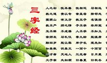 教师读书心得800字