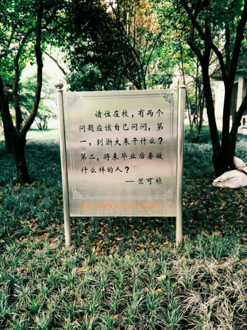 朱克zhen的名言