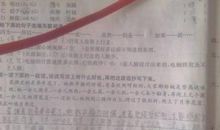 含有拟人手法的句子