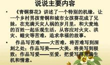 青铜葵花读后感50字