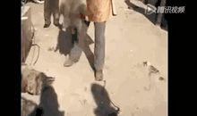 每天上下班之前读一遍，直到铭记在心……