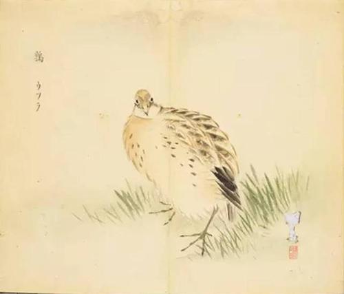 诗经：舒玉田