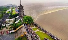 描写钱塘江的诗句