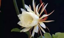 不要被别人的成功晃花眼睛