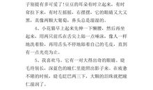 关于描写人物外貌的段落