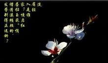 含有杏花的诗句
