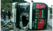 用提心吊胆造句