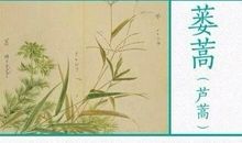 描写植物的优美句子