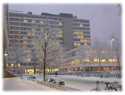 分析上大学而不上大学的利弊