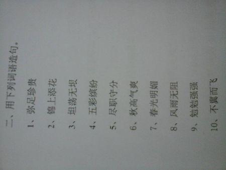 用风吹雨打