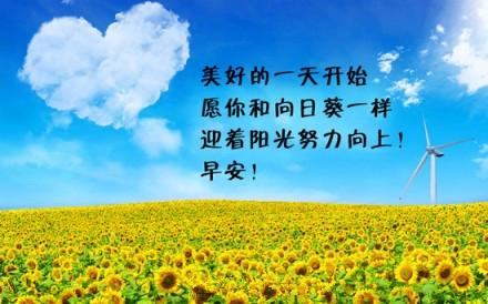 您喜欢“捷径”，您错过了多少风景？