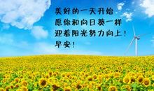 喜欢走“捷径”的你 ，究竟错过了多少风景