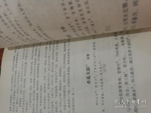 张岩：月光下