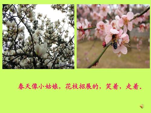 用花