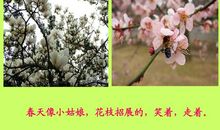 用花枝招展造句