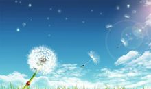 描写夏日炎炎的诗句