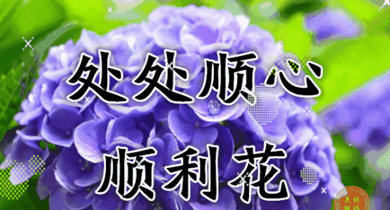 祝福女孩