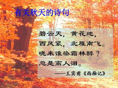 关于秋天的诗