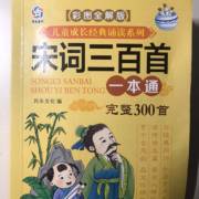 陈亮：水龙吟